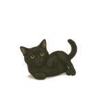 にゃんこは語らず（個別スタンプ：3）