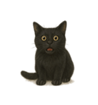 にゃんこは語らず（個別スタンプ：12）