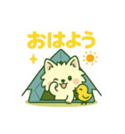 しろいぬとキャンプ（個別スタンプ：1）