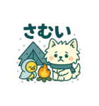 しろいぬとキャンプ（個別スタンプ：12）