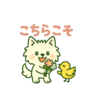 しろいぬとキャンプ（個別スタンプ：23）