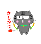アメショぽんずの日常会話（個別スタンプ：11）