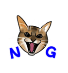 あの猫スタンプ（個別スタンプ：2）