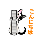 あの猫スタンプ（個別スタンプ：4）