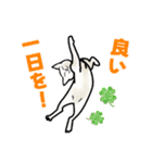 あの猫スタンプ（個別スタンプ：11）