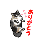 あの猫スタンプ（個別スタンプ：12）
