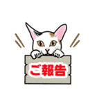 あの猫スタンプ（個別スタンプ：14）