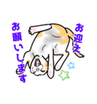 あの猫スタンプ（個別スタンプ：16）