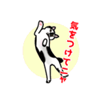 あの猫スタンプ（個別スタンプ：21）