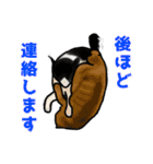 あの猫スタンプ（個別スタンプ：24）