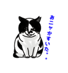 あの猫スタンプ（個別スタンプ：25）