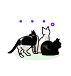 あの猫スタンプ（個別スタンプ：26）