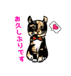あの猫スタンプ（個別スタンプ：27）