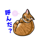 あの猫スタンプ（個別スタンプ：30）
