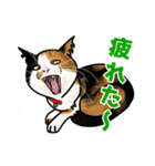 あの猫スタンプ（個別スタンプ：32）