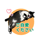 あの猫スタンプ（個別スタンプ：35）