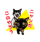 あの猫スタンプ（個別スタンプ：36）