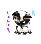 あの猫スタンプ（個別スタンプ：38）