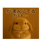 ゆるかわうさぎ【感情スタンプ】（個別スタンプ：2）