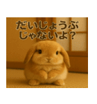 ゆるかわうさぎ【感情スタンプ】（個別スタンプ：3）