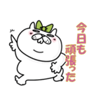 【気分があがる】褒めるぶたねこスタンプ6（個別スタンプ：8）