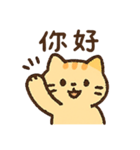 オレンジ猫猫の毎日♪（個別スタンプ：1）