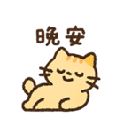 オレンジ猫猫の毎日♪（個別スタンプ：5）