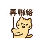 オレンジ猫猫の毎日♪（個別スタンプ：11）