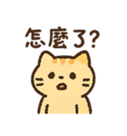 オレンジ猫猫の毎日♪（個別スタンプ：15）