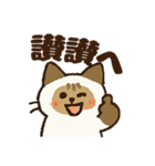 ふわふわラグドールだぜー！（個別スタンプ：6）