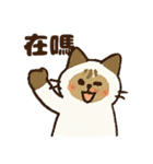 ふわふわラグドールだぜー！（個別スタンプ：8）