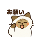 ふわふわラグドールだぜー！（個別スタンプ：12）
