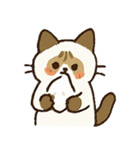 ふわふわラグドールだぜー！（個別スタンプ：14）