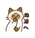 ふわふわラグドールだぜー！（個別スタンプ：16）
