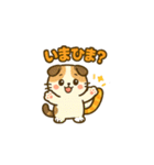 可愛い！猫まみれスタンプ（個別スタンプ：17）