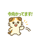 可愛い！猫まみれスタンプ（個別スタンプ：35）