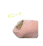 うさぎのらてちゃんすたんぷ そのろく！（個別スタンプ：12）