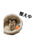うさぎのらてちゃんすたんぷ そのろく！（個別スタンプ：35）