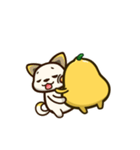 ひよこ豆 カップル。ver（個別スタンプ：19）