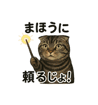 猫Cafe RagDoll！13周年記念スタンプ！（個別スタンプ：2）