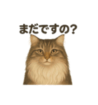 猫Cafe RagDoll！13周年記念スタンプ！（個別スタンプ：4）
