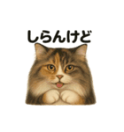 猫Cafe RagDoll！13周年記念スタンプ！（個別スタンプ：7）