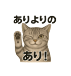 猫Cafe RagDoll！13周年記念スタンプ！（個別スタンプ：10）