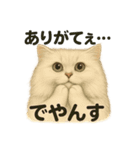 猫Cafe RagDoll！13周年記念スタンプ！（個別スタンプ：11）