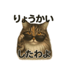 猫Cafe RagDoll！13周年記念スタンプ！（個別スタンプ：12）