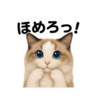 猫Cafe RagDoll！13周年記念スタンプ！（個別スタンプ：15）