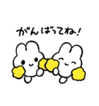 まいにちいっしょ やさうさちゃん（個別スタンプ：14）