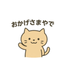 ゆるねこの挨拶スタンプ（個別スタンプ：8）