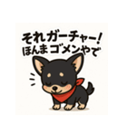 元気な黒チワワのひとことスタンプ（個別スタンプ：1）