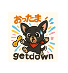 元気な黒チワワのひとことスタンプ（個別スタンプ：3）